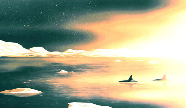 Emergence Magazine Arctic 02 Illustration Isabel Seliger