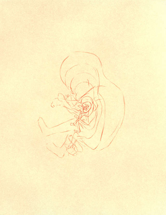 Het Parool Isabel Seliger Illustration Miscarriage 1