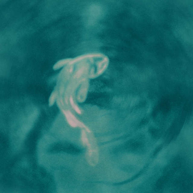 Isabel Seliger Advent2020 07