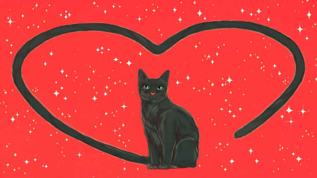 Pop Sci Cat Illustration by Isabel Seliger