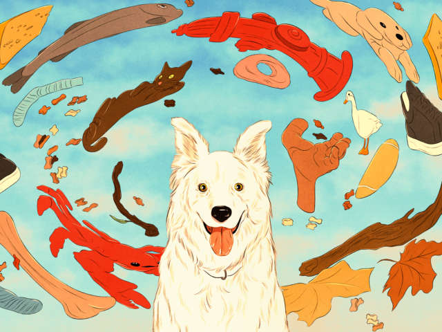 Popular Science Do cats and dogs remember their past Illustration by Isabel Seliger