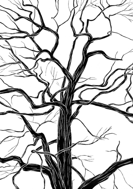 Sbmatw10 isabel seliger