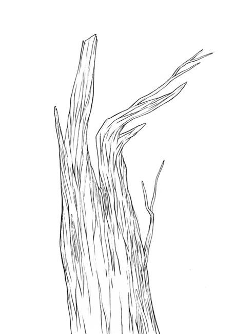 Sbmatw11 isabel seliger